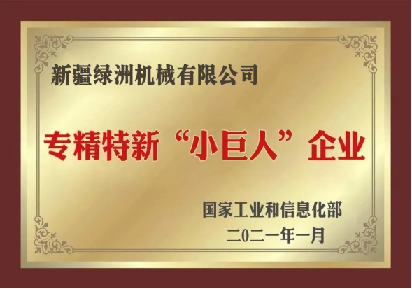 In 2021, it will be a 